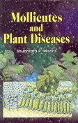 Mollicutes and Plant Diseases