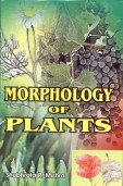 Stock image for Morphology of Plants for sale by Books Puddle