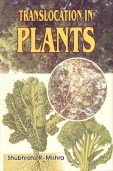 Stock image for Translocation in Plants for sale by Books Puddle