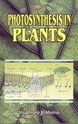 Stock image for Photosynthesis in Plants for sale by Books Puddle