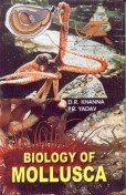 Imagen de archivo de Biology of Mollusca a la venta por Books Puddle