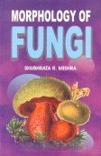 Stock image for Morphology of Fungi for sale by Books Puddle