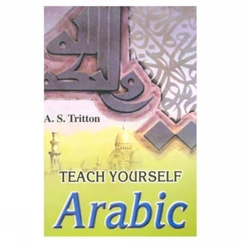 9788171513598: Teach Yourself Arabic