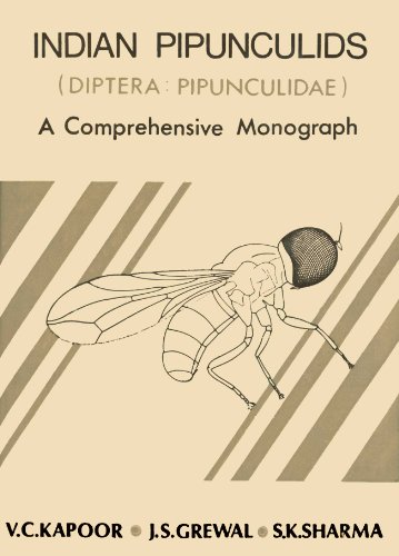 9788171562978: Indian Pipunculids (Diptera: Pipunculidae) A Comprehensive Monograph [Paperback]