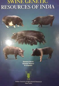 Stock image for Swine Genetic Resources of India for sale by Books Puddle