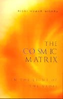 Stock image for The Cosmic Matrix in the Light of the Vedas for sale by Natanya's books and more