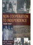 Stock image for Non-Cooperation to Independence 1920 1947 for sale by dsmbooks