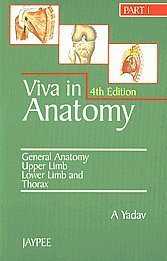 9788171796984: Viva in Anatomy