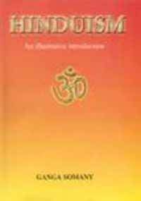 9788171899920: Hinduism - An Illustrative Introduction