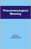 Stock image for Phenomenological Meaning for sale by Books Puddle