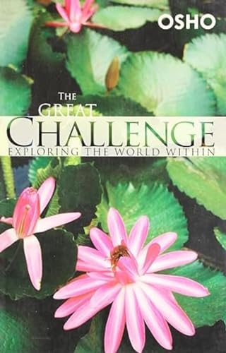 Stock image for The Great Challenge for sale by Books Puddle