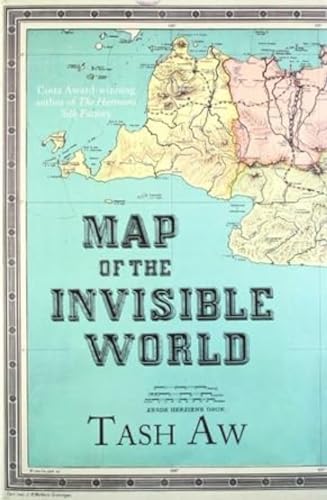 Stock image for Map of the Invisible World for sale by Majestic Books