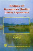 Stock image for Sedges of Karnataka (India) for sale by Books Puddle