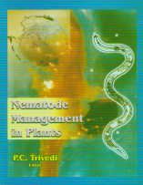 Imagen de archivo de Nematode Management in Plants a la venta por Hay-on-Wye Booksellers