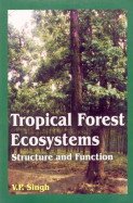 Tropical Forest Ecosystems: Structure and Function
