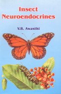 Stock image for Insect Neuroendocrines for sale by Hay-on-Wye Booksellers