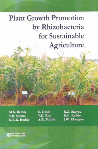 Plant Growth Promotion By Rhizobacteria for Sustaianble Agriculture