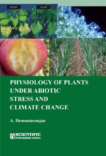 Stock image for Physiology of Plants Under Abiotic Stress and Climate Change for sale by Books Puddle