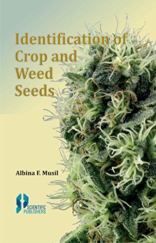 Imagen de archivo de Identification of Crop and Weed Seeds a la venta por Books in my Basket
