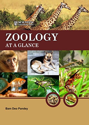 Imagen de archivo de Zoology At A Glance a la venta por dsmbooks