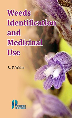 Beispielbild fr Weeds Identification And Medicinal Use zum Verkauf von Books in my Basket