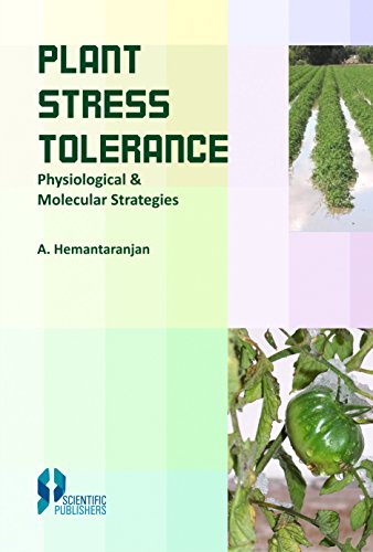 Stock image for Plant Stress Tolerance Physiological and Molecular Strategies for sale by Books Puddle