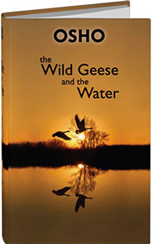 9788172613679: The Wild Geese and the Water: Responses to Questions.