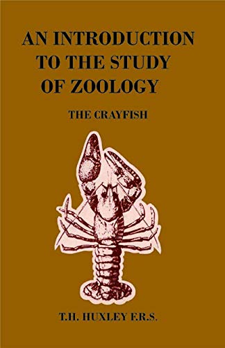 Imagen de archivo de An Introduction to the Study of Zoology a la venta por Books Puddle