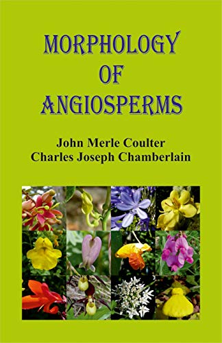 Stock image for Morphology of Angiosperms for sale by Books Puddle