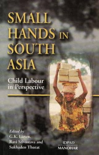 Beispielbild fr Small Hands in South Asia. Child Labour in Perspective. zum Verkauf von Plurabelle Books Ltd
