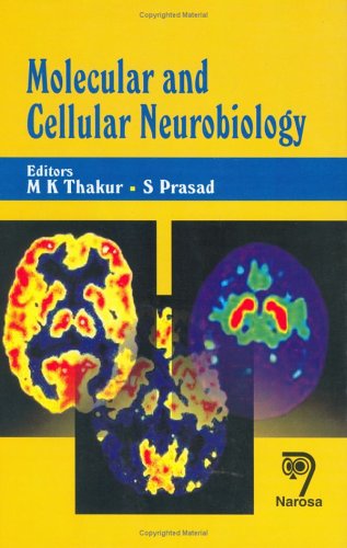 Beispielbild fr Molecular and Cellular Neurobiology zum Verkauf von Anybook.com
