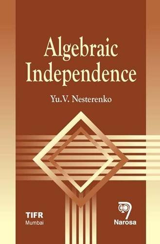 9788173199844: Algebraic Independence