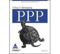 Stock image for USING & MANAGING PPP for sale by Mispah books