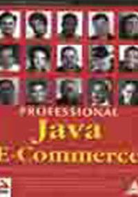 9788173661020: Professional Java E-Commerce (International Edition)