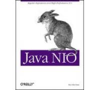 9788173665110: [(Java NIO)] [by: Ron Hitchens]