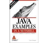 Stock image for Java Examples in a Nutshell for sale by Books Puddle