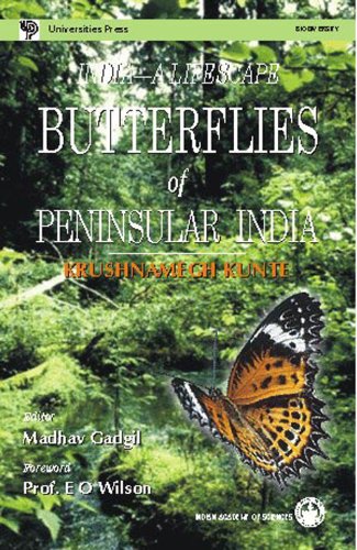 Butterflies of Peninsula India - India - A Landscape