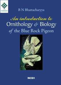 Stock image for An Introduction to Ornithology and Biology of the Blue Rock Pigeon for sale by Books Puddle