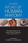 Imagen de archivo de Concise Atlas of Human Anatomy a la venta por Caryota Book Exchange