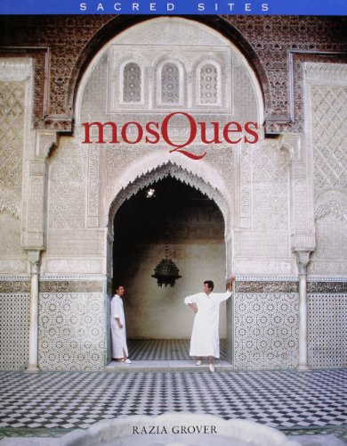 Imagen de archivo de Mosques a la venta por Better World Books