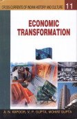 Imagen de archivo de Economic Transformation a la venta por Books Puddle