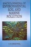 Stock image for Encyclopaedia of Environmental Soil And Marine Pollution 2 Volumes Set for sale by Books in my Basket