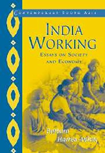 9788175962309: India Working: Essays on Society and Economy