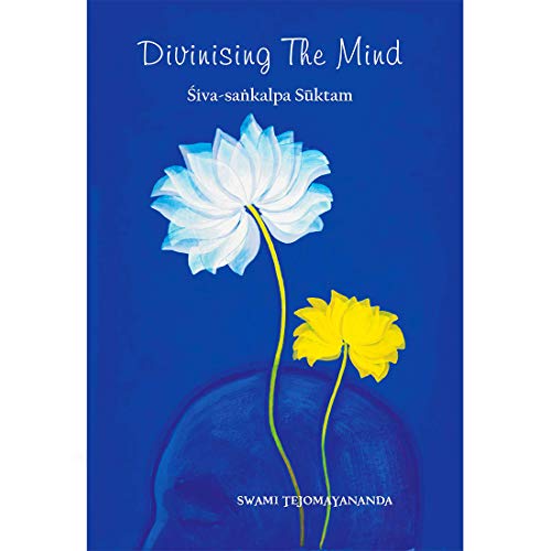 Stock image for Divinising The Mind for sale by HPB-Movies