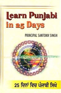 Beispielbild fr Learn Punjabi in 25 Days zum Verkauf von Books Puddle