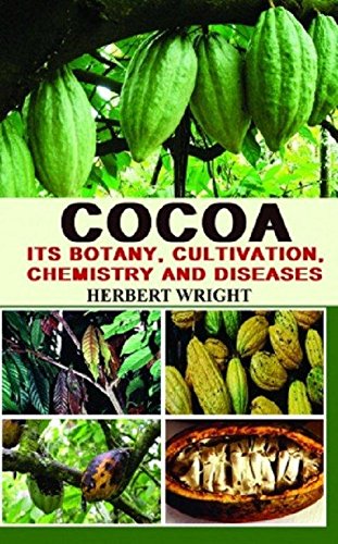 Imagen de archivo de Cocoa: Its Botany Cultivation Chemistry and Diseases a la venta por Books in my Basket