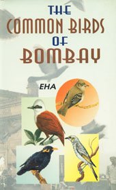 Imagen de archivo de The Common Birds of Bombay a la venta por Books Puddle