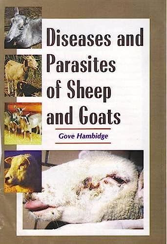 Diseases and Parasites of Sheep and Goats (9788176220873) by Hambidge, Gove