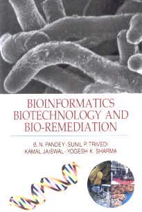 Beispielbild fr Bioinformatics Biotechnology and Bio Remediation zum Verkauf von Vedams eBooks (P) Ltd