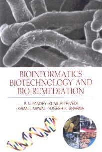 Stock image for Bioinformatics Biotechnology and Bio Remediation for sale by Vedams eBooks (P) Ltd